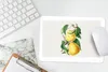 MuchoWow® Mauspad Mousepad Birnen - Obst - Gesund 27x18 cm Produktbild-Vorschau 6