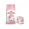 Royal Canin FHN Kitten Trockenfutter 4 kg Produktbild-Vorschau 7