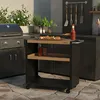 An outdoor kitchen scene with a grill and a grill cart. Anteprima dell’immagine prodotto