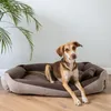 A dog is lying on a dog bed in a room with a plant. Produktbild-Vorschau