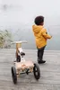 Tricycle (module supplémentaire) pour leg&go Draisienne Voir les images du produit 6
