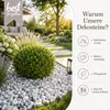 Best For Home - Kieselsteine | gartensteine für boden | Produktbild-Vorschau 4