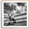 Gerahmtes Poster - Rahmen in heller Eiche - An-2 Flugzeug Produktbild-Vorschau 1