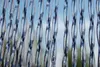 CASA ALBI 1 Streifenvorhang transparent schwarz,Maße:120 x Produktbild-Vorschau 2