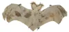 Guirca Fledermaus 60 Cm    One Size Produktbild-Vorschau 5