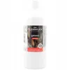 Van Bleiswijck Gesso White 500ml - Wysokiej jakości podkład Podgląd zdjęcia produktu 2