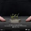 Iron Studios - Jurassic World Icons Statue Compsognathus 5 Produktbild-Vorschau 10