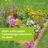 Protect Garden Permaclean Duo Unkraut & Wurzel-Ex 1 L Produktbild-Vorschau 5