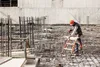 Líščí chvost Náhľad obrázku produktu 15