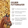Supravit Hafer ganz 2,5kg | Frischer gelber Futterhafer Produktbild-Vorschau 2