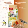 PANTO Sonnenblumenkerne geschält – 25 kg Vogelfutter Produktbild-Vorschau 2