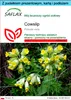 SAFLAX - Zestaw prezentowy - Cowslip - 100 Nasiona - Z Podgląd zdjęcia produktu 1