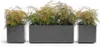 euro3plast 315-462 Pflanzkasten Greener Kebe 100cm, Produktbild-Vorschau 4
