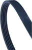 Contitech Keilrippenriemen  5Pk1090 Produktbild-Vorschau 4