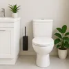 Relaxdays Toilettenbürste Wandmontage, zum Kleben, HxBxT: Produktbild-Vorschau 2