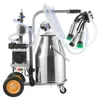 Electric Cow Milking Machine, 6.6 Gal / 25 L 304 Stainless Produktbild-Vorschau 1