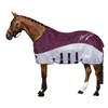 A brown horse wearing a burgundy and silver fly sheet, standing on a white background. Produktbild-Vorschau