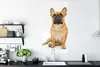 MuchoWow® Poster Französische Bulldogge - Weiß - Braun Produktbild-Vorschau 3