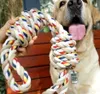EDIBAZZAR | Anello di dentizione in corda per cani, grande, Anteprima dell’immagine prodotto 21