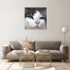 Bilder auf glas - Katze Tiere blaue Augen - 60x60cm - Produktbild-Vorschau 7