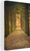 MuchoWow® - Leinwandbilder - Pfad - Bäume - Wald, Wandbild, Produktbild-Vorschau 1