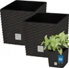 KOTARBAU® 2er Set Blumentöpfe 4 L Höhe: 17 cm Umbra Produktbild-Vorschau 1