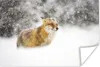 MuchoWow® Poster Fuchs - Schnee - Sturm 60x40 cm - Produktbild-Vorschau 1