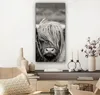 MuchoWow® - Leinwandbilder - Schottischer Highlander - Kuh Produktbild-Vorschau 7
