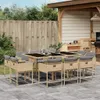 11-tlg. Garten-Essgruppe mit Kissen Beigemischung Poly Produktbild-Vorschau 1
