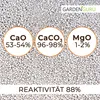 Premium Rasenkalk & Gartenkalk Kalk Düngekalk gegen Moos Produktbild-Vorschau 6