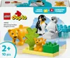LEGO LEGO® DUPLO 10442 Familles d'animaux sauvages : Voir les images du produit 4
