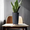 A snake plant in a dark gray planter with wooden legs sits on a table in front of a chair. Anteprima dell’immagine prodotto
