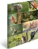 HERMA Eckspannermappe "Waldtiere" Karton DIN A3 Produktbild-Vorschau 9