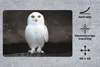 MuchoWow® Schreibtischunterlage Schneeeule 60x40 cm - XXL Produktbild-Vorschau 2