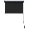 vidaXL Roleta zewnętrzna 100 x 250 cm antracytowa Podgląd zdjęcia produktu 3