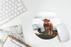 MuchoWow® Mauspad Mousepad Tiere - Kuh - Berg 20x20 cm - Produktbild-Vorschau 5