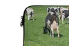 MuchoWow® Laptop Hülle 14 ZollKuh - Tiere - Gras - Sonne Produktbild-Vorschau 3