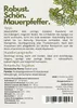Sedum Acre (Wildform), scharfer Mauerpfeffer, Portion, Produktbild-Vorschau 2