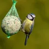 PANTO Energiepaket - für Wildvögel mit Fettfutter, Produktbild-Vorschau 2