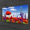 Acrylglasbilder 100x50 Wandbild Druck Blumen Natur Produktbild-Vorschau 2