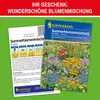 ONBEST Rasensamen | 1 kg | inklusive Sommerblumenmischung | Produktbild-Vorschau 7
