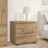 vidaXL Opbergkast, Artisan-eikenhout, 60 x 48 x 57 cm Productafbeelding-voorbeeld 2