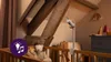 Philips AVENT Philips Premium Connected Videophone, le Voir les images du produit 3