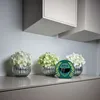 Motorsport-Helm Spardose in Racing Green mit Siegerkranz Produktbild-Vorschau 4