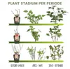 Plants by Frank | Früchte Oase  Obstpflanzen Mix | Produktbild-Vorschau 3