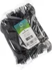 Forchette Papstar in PP organico nero lunghezza 185 mm 50 Anteprima dell’immagine prodotto 2
