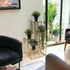 DanDiBo Escalier pour fleurs Métal doré 82 cm Escalier pour Voir les images du produit 6