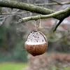 Noce di cocco ripiena Anteprima dell’immagine prodotto 6