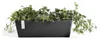 Ecopots Bruges 45 + Vaso da fiori con serbatoio d'acqua - L Anteprima dell’immagine prodotto 10