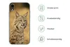 MuchoWow® Handyhülle Schutzhülle Hülle für iPhone XR Luchs Produktbild-Vorschau 7